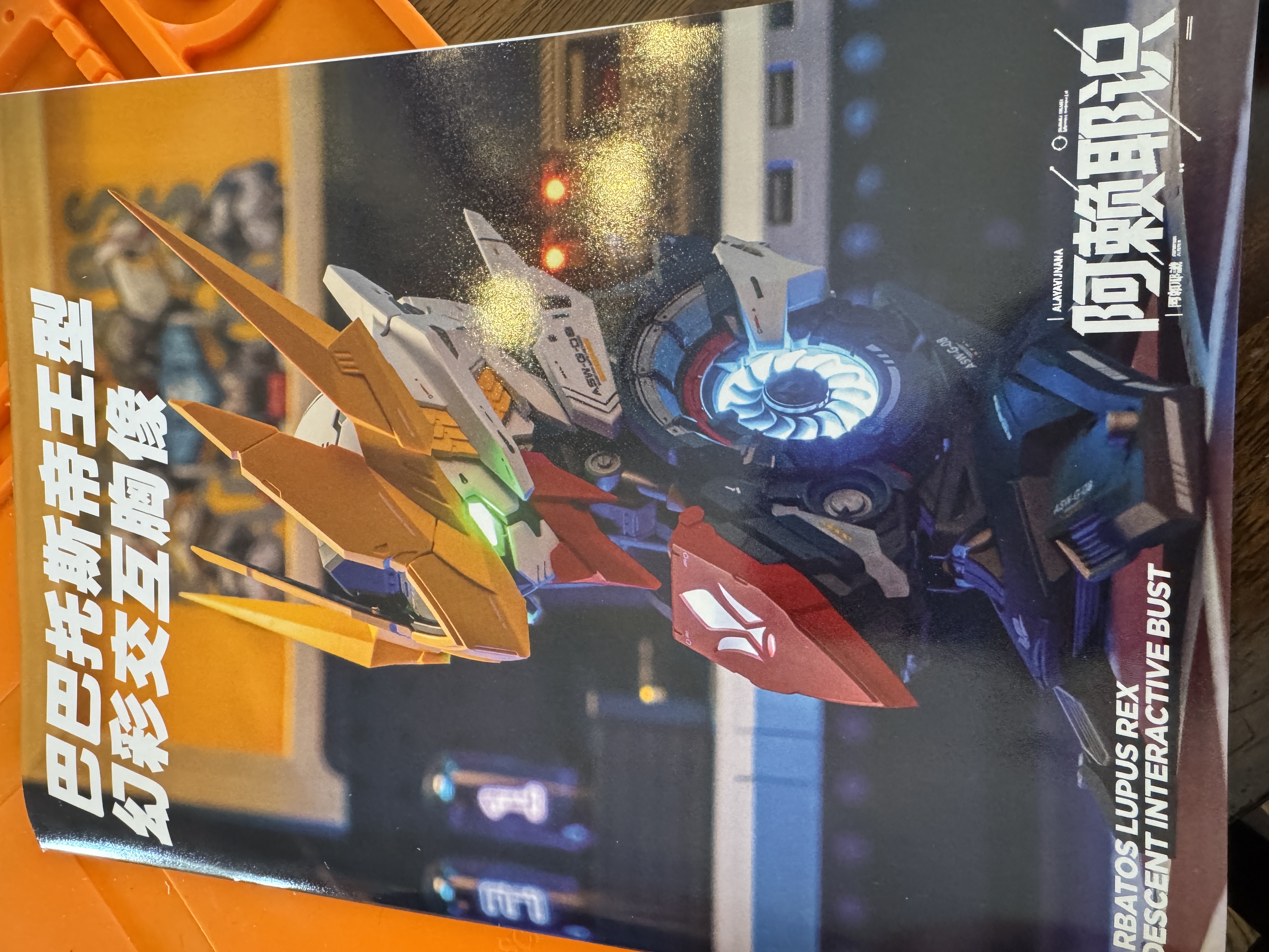 Manual Cover