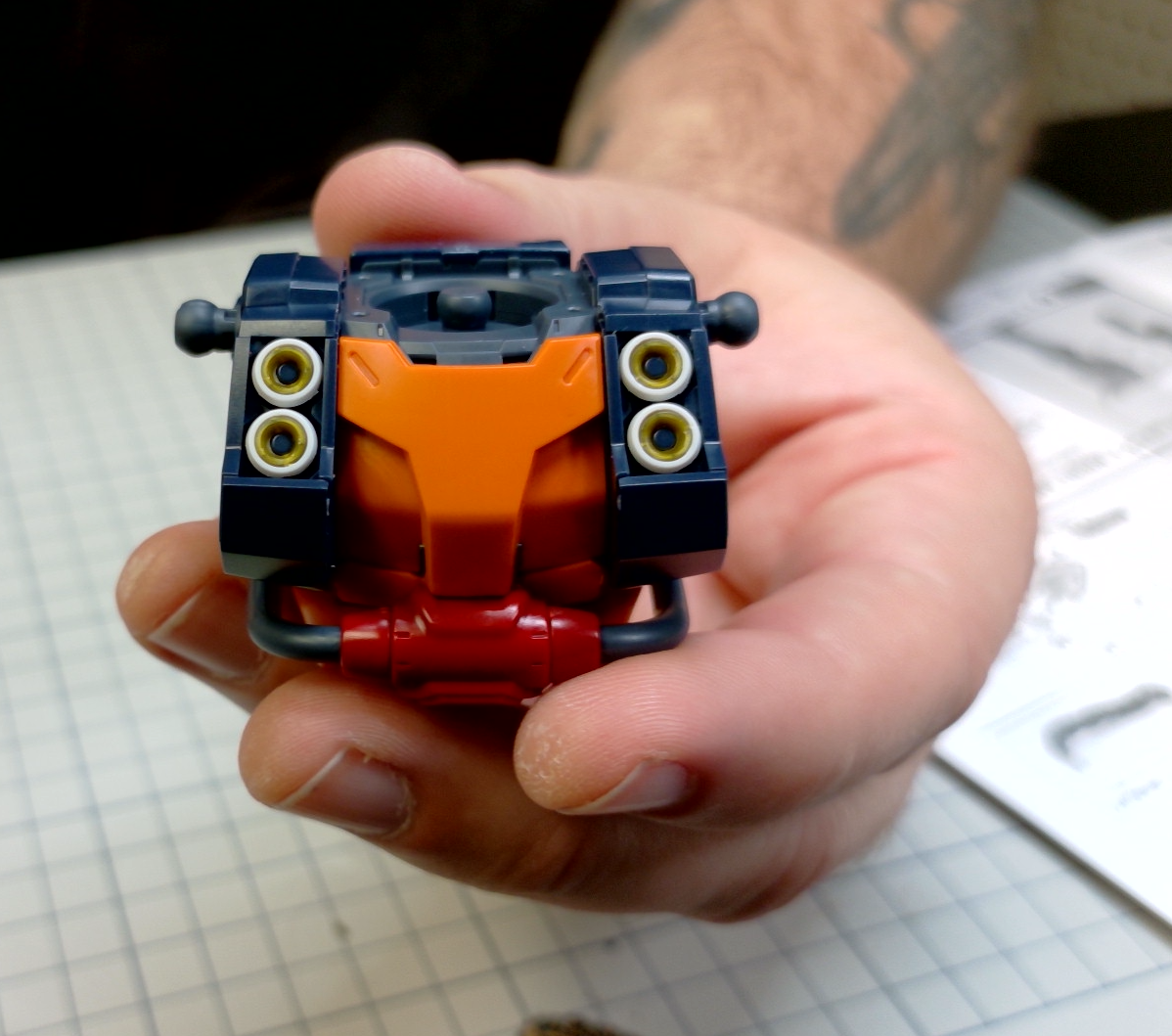 Front of the Torso